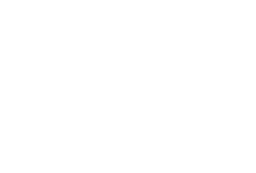 King Legacy Group
